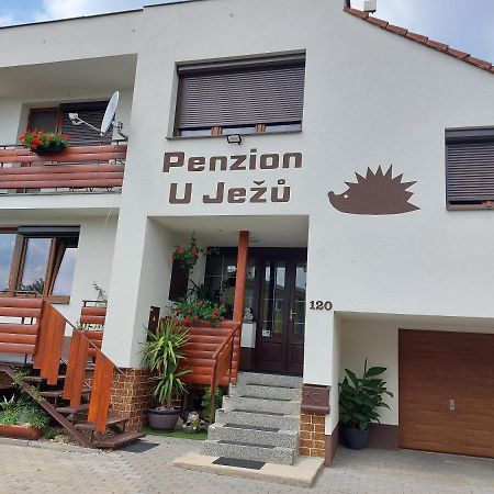Penzion U Jezu - Ubytovani Pasohlávky Dış mekan fotoğraf