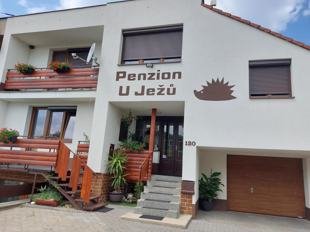 Penzion U Jezu - Ubytovani Pasohlávky Dış mekan fotoğraf