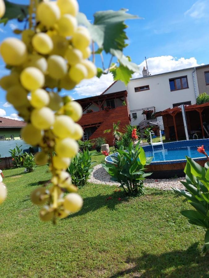 Penzion U Jezu - Ubytovani Pasohlávky Dış mekan fotoğraf